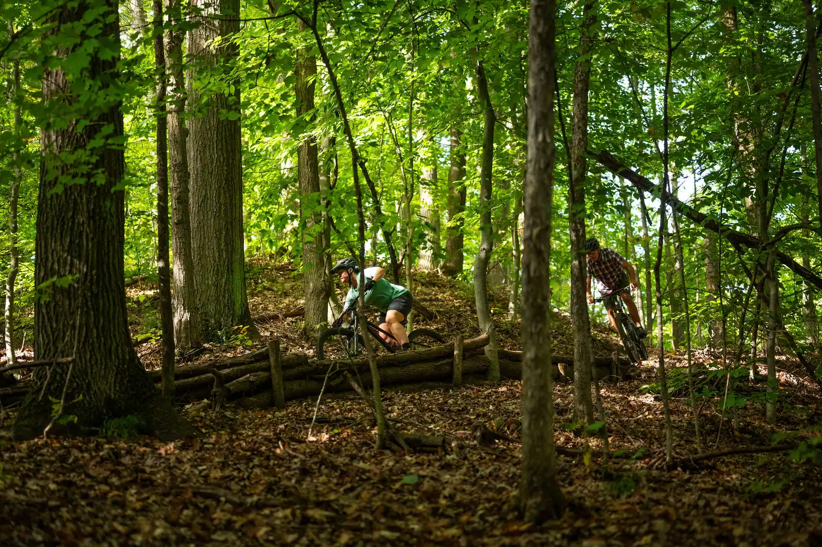 Two mountain bikers ride through a vibrant green Dufferin County forest dappled with sunlight